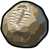 Precious Fossilized Core