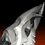 Timeworn Husk