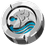 Item_Summer_Fish_Currency_Name