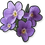 Bunga Violet Ungu
