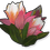 Bunga Protea