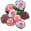 Bunga Peony Warna Campuran