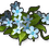 Bunga Evolvulus